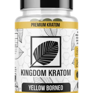 yellow borneo 60ct bottle mockup 800x